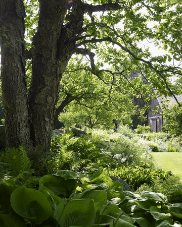 wild-garden-inspiration-naturalness3.jpg wild-garden-inspiration-naturalness3.jpg