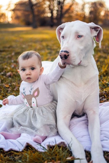 CATERS_DEAF_DOG_AND_FRIEND_10-850x1275-450x675