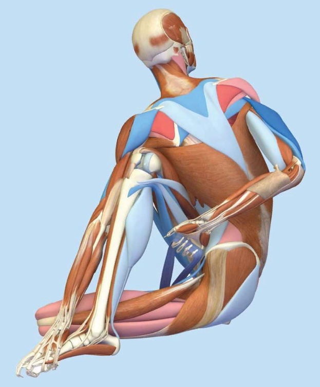 Гимнастика фараонов: упражнения, которые стоит делать сразу после пробуждения
