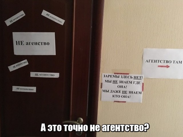 Фотоподборка среды 