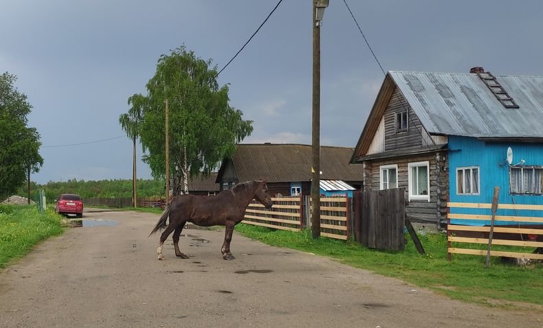 Село поданной. Жизнь в карельской деревне. Карелия уровень жизни. Одна в деревне Карелия Татьяна. Деревня заделия Корельская области.