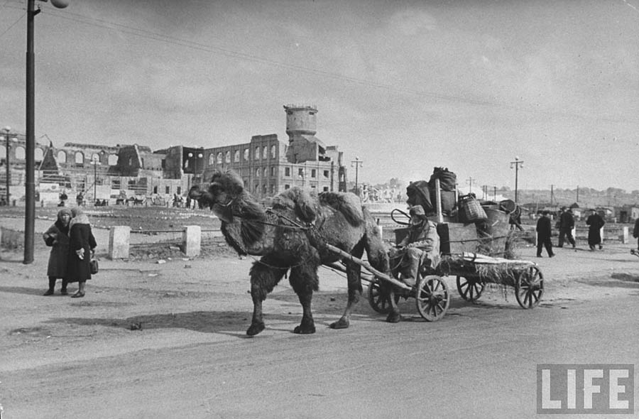 Сталинград. 1943, 1947 и 1952 года