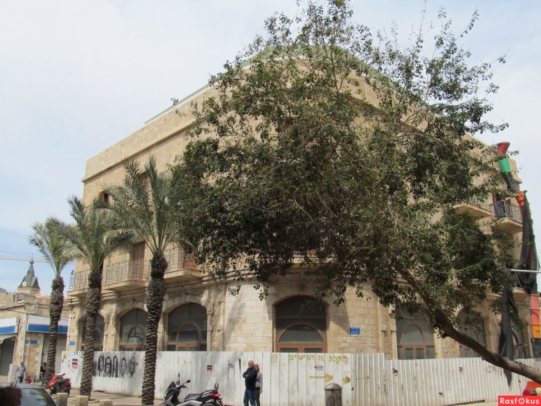 Израиль — страна-пустыня? Нет, страна-сад! Израиль — страна-пустыня? Нет, страна-сад!