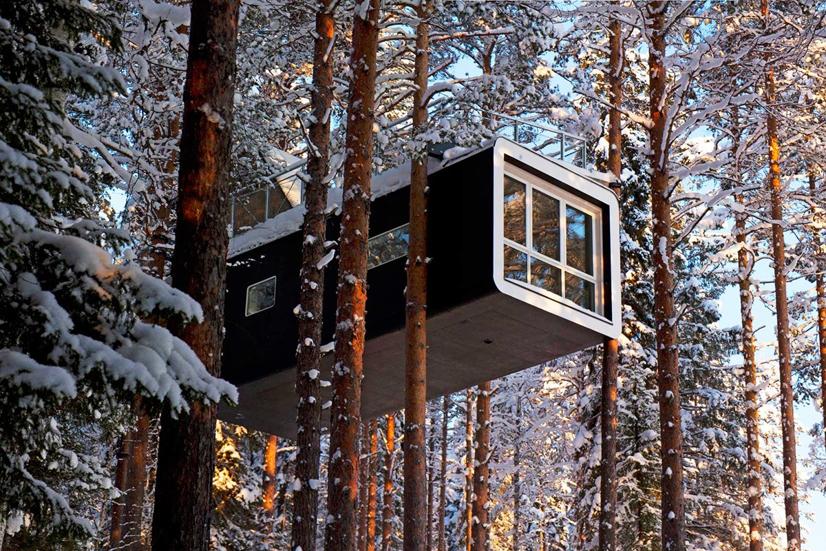 «Затерянный мир» или шесть самых причудливых отелей на деревьях