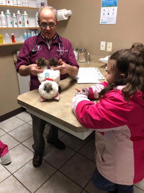 В ветеринарной клинике маленькой девочке помогли вылечить ее любимую плюшевую кошку-игрушку 