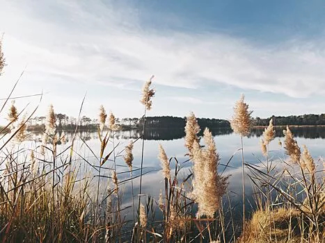 Почему озера становятся более токсичными весной: выводы российских ученых