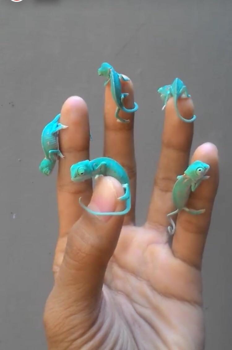 Мир без фотошопа. Удивительное зрелище! Мир без фотошопа. Удивительное зрелище! мир