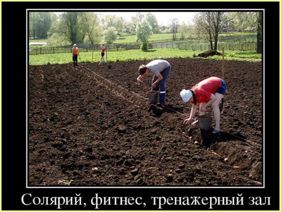 Дачный спорт