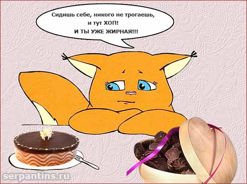 Картинки Сижу На Диете. Самые прикольные картинки про диету (50 фото)