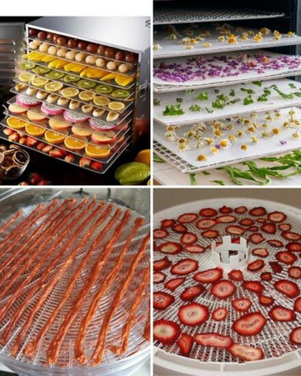 Кто купил сушилку для фрипсов и пожалел об этом