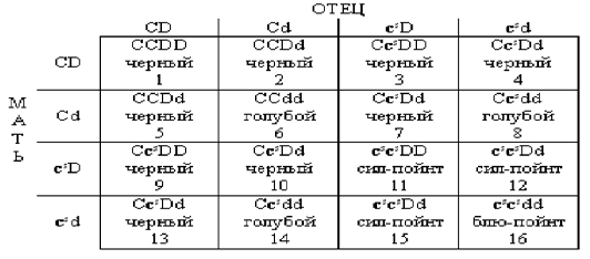 Генетика