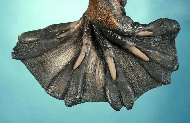 Мир без фотошопа. Удивительное зрелище! Мир без фотошопа. Удивительное зрелище! мир