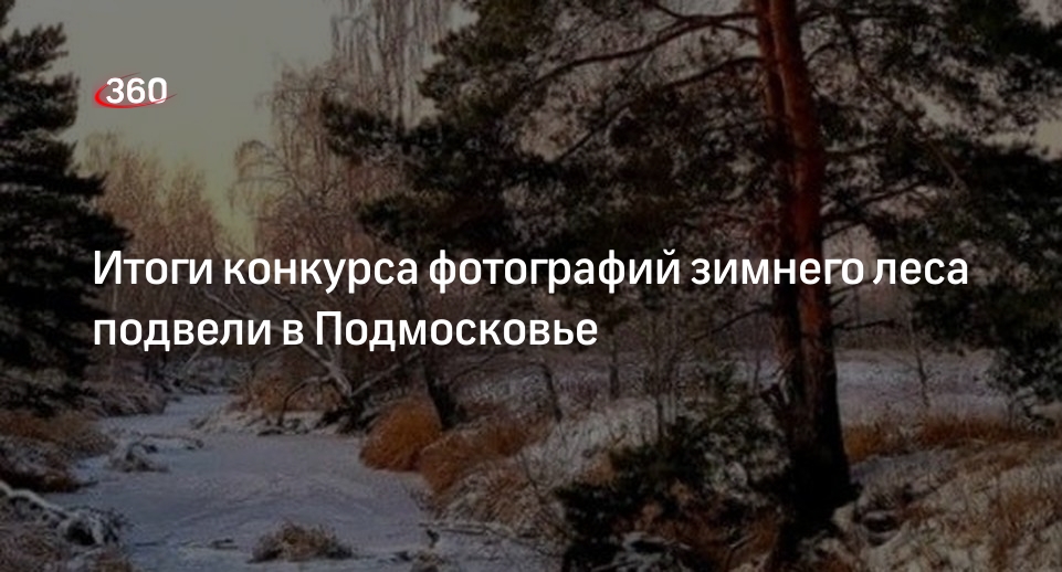 Итоги конкурса фотографий зимнего леса подвели в Подмосковье