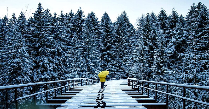 10 умиротворяющих зимних пейзажей удивительной красоты 