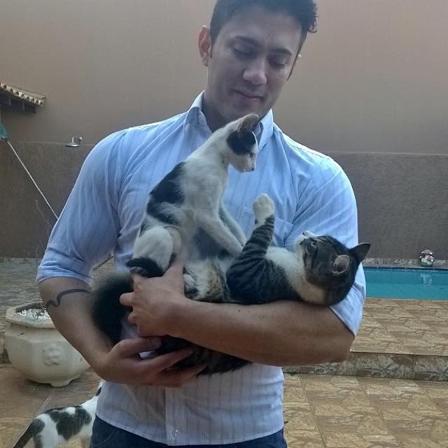 Без кота и жизнь не та
