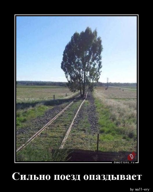 Демотиваторы с приколами: «Позаботься о своём будущем» 