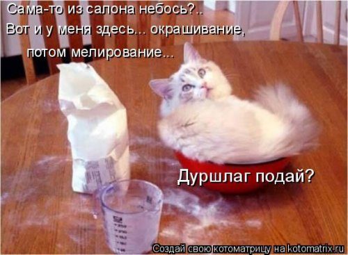 Ð£Ð¼Ð¾Ñ€Ð¸Ñ‚ÐÐÑŒÐ½Ñ‹Ð ÐºÐ¾Ñ‚Ð¾Ð¼ÐÑ‚Ñ€Ð¸Ñ†Ñ‹ Ð´ÐÑ Ð¾Ñ‚ÐÐ¸Ñ‡Ð½Ð¾Ð³Ð¾ Ð½ÐÑÑ‚Ñ€Ð¾ÐÐ½Ð¸Ñ