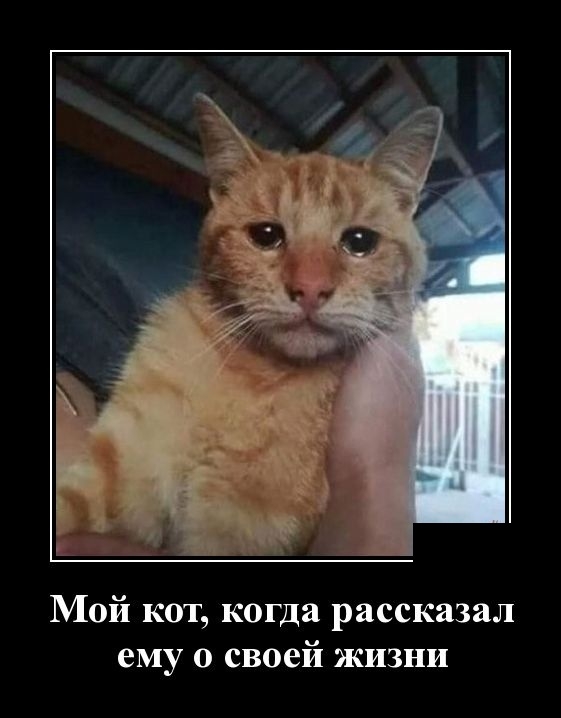 Демотиваторы - Улыбайтесь, господа, улыбайтесь! Демотиваторы - Улыбайтесь, господа, улыбайтесь!