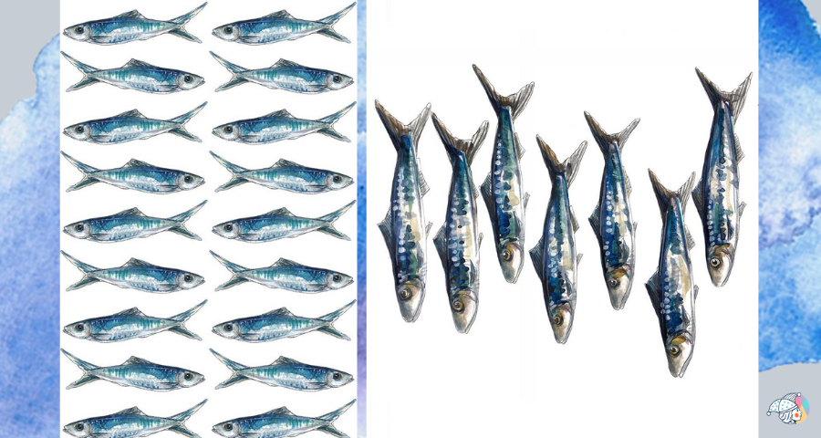 Какая рыба самая полезная: 12 видов, которые стоит включить в свой рацион здоровье,питание,рыба