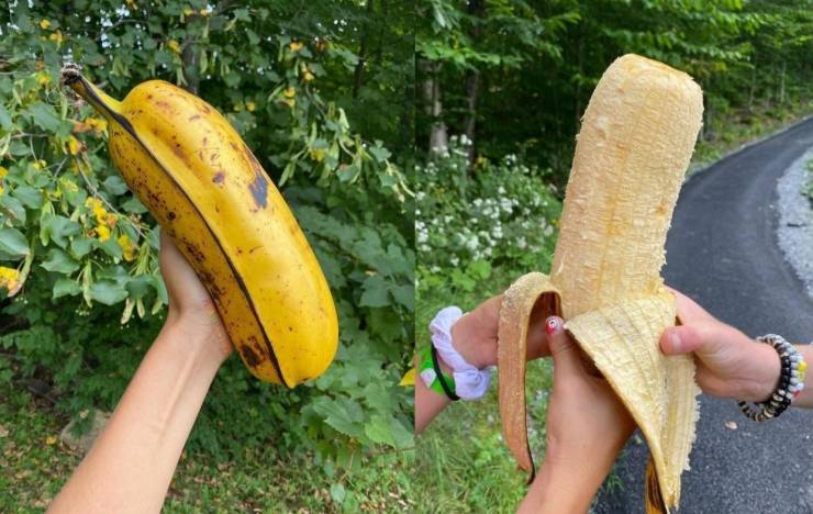 Подборка картинок. Вечерний выпуск  приколы,смешные картинки,юмор