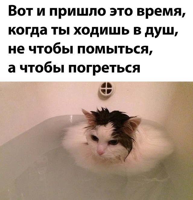 Подборка картинок. Вечерний выпуск 