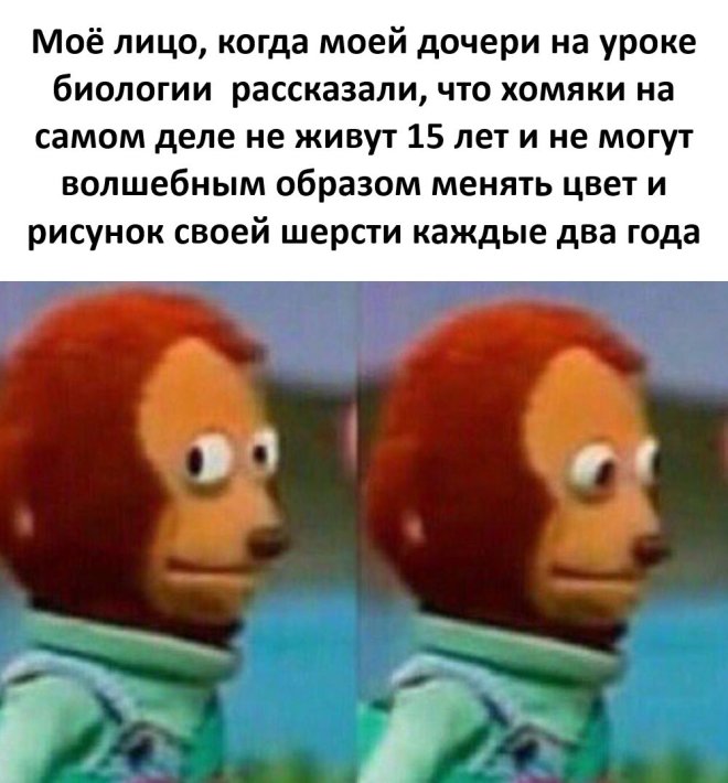 Смешные картинки с надписями в пятницу и мяч 