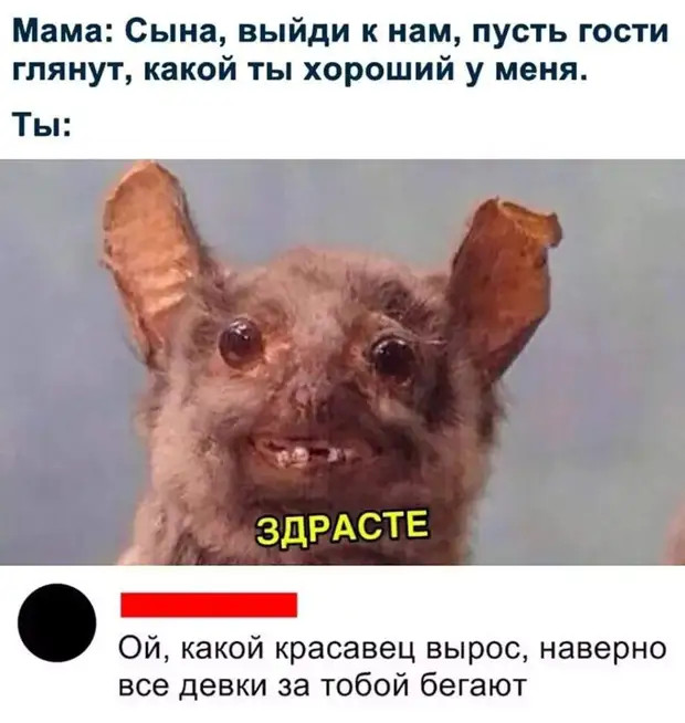 Настоящий богач богат не деньгами, а свободным временем вредит, льдом, потому, проехал, Парень, низкой, объехал, квартал, вновь, месту, причем, более, скоростиНо, своем, камера, снова, вспыхнула, показалось, забавным, камеры