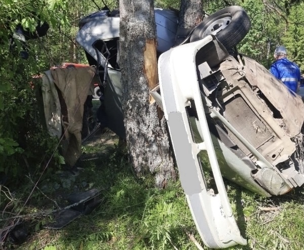 В Судогодском районе водитель чудом выжил в смятой деревом машине