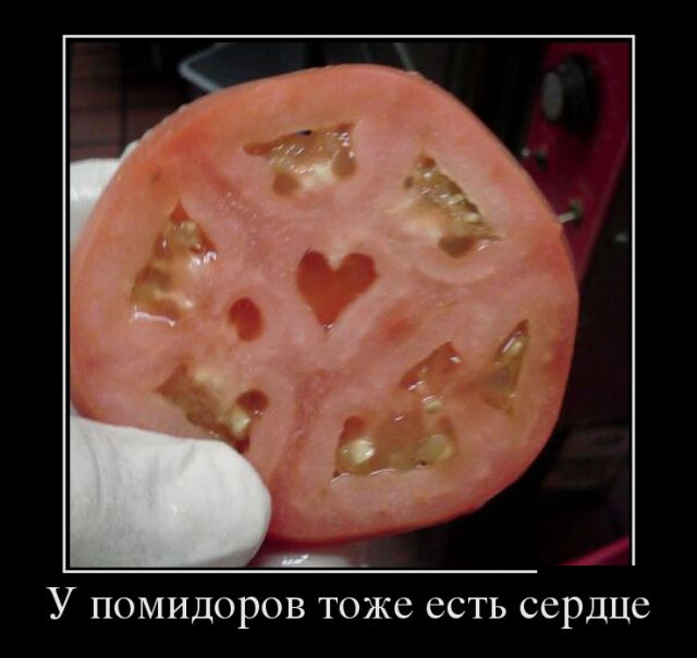 Утренние демотиваторы для веселья и позитива (11 фото)