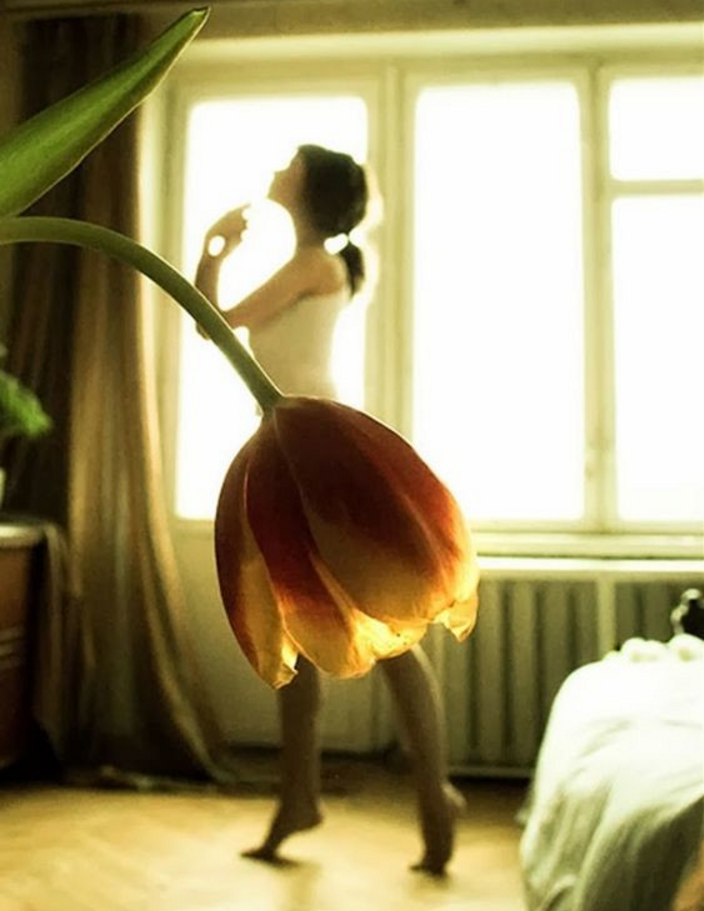 Лови момент или мастерство фотографа Лови момент или мастерство фотографа фотография