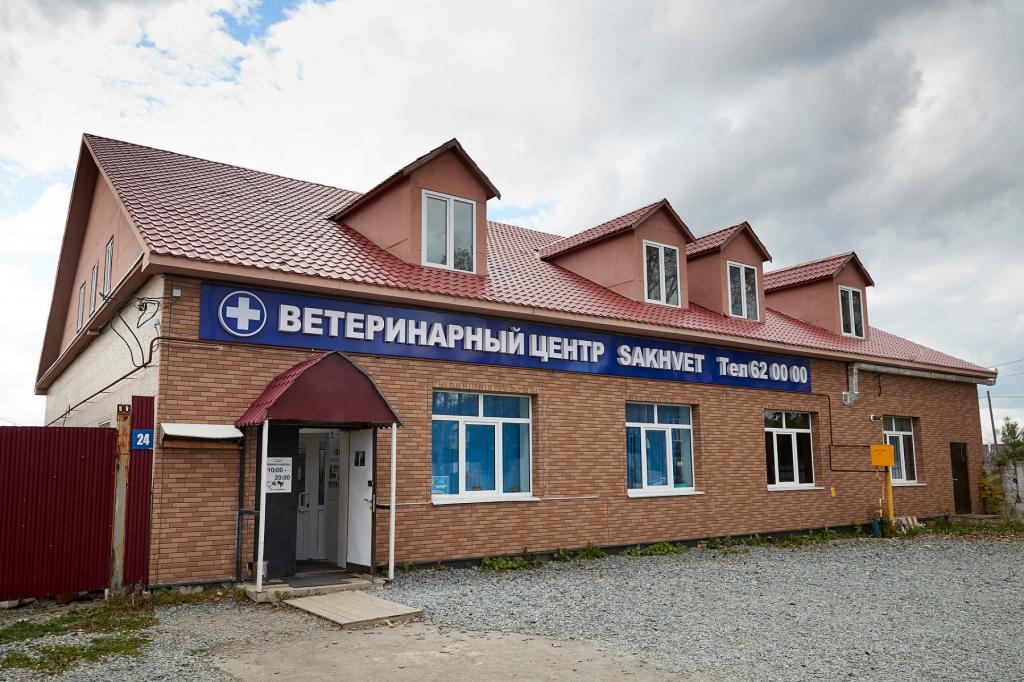 Ветеринарные клиники Южно-Сахалинска: обзор и отзывы