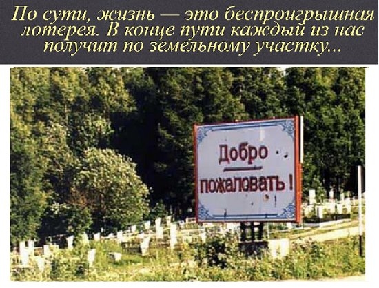 Анекдоты, истории и картинки с надписями 