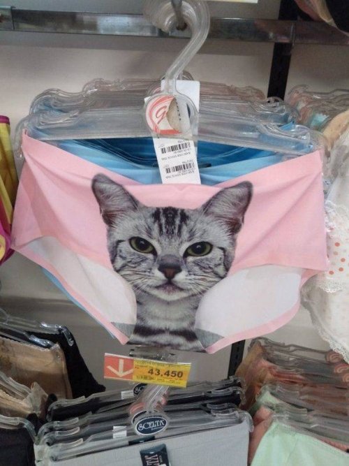 Пост прикольных картинок шутки, юморина