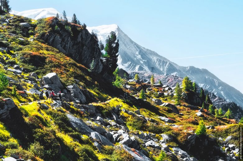 В горах Шамони, или Как увидеть четыре времени года за один день В горах Шамони, или Как увидеть четыре времени года за один день