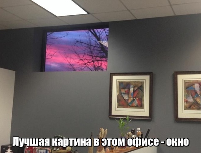 Подборка смешных картинок и веселых фото с надписями 