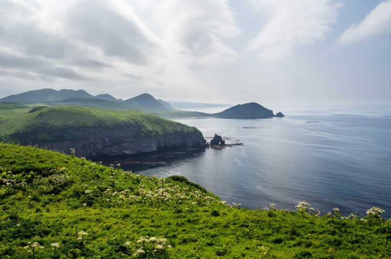 В России ответили на заявления о принадлежности Сахалина Китаю