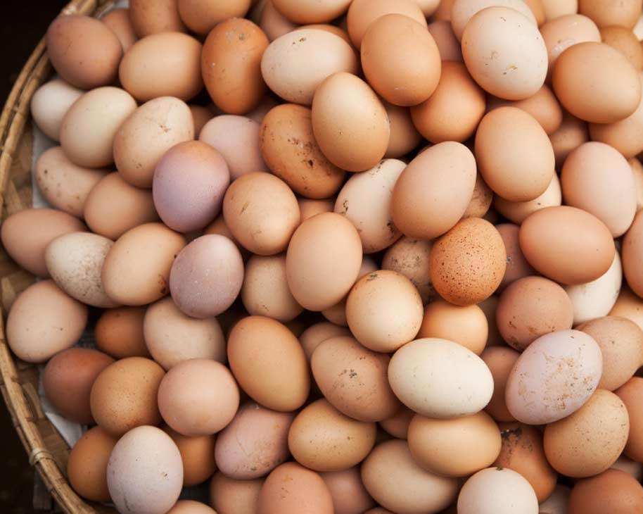 Импортные яйца не добрались до российских магазинов | Русская весна