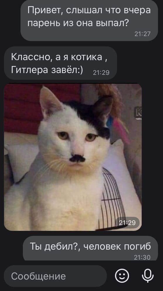 Смешные переписки