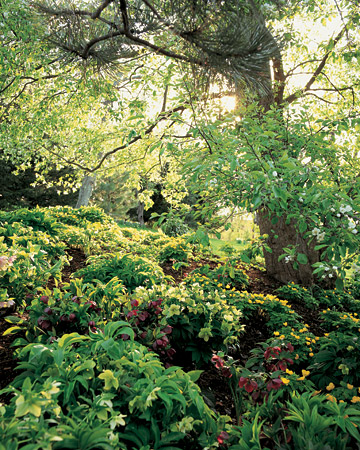 wild-garden-inspiration-naturalness6.jpg wild-garden-inspiration-naturalness6.jpg