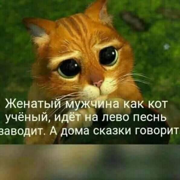 Свежий юмор для чудесного настроения: 25 классных шуток и анекдотов в картинках Свежий юмор для чудесного настроения: 25 классных шуток и анекдотов в картинках