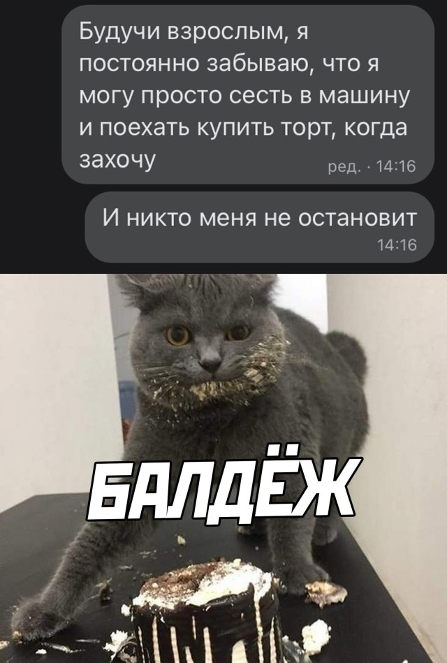 Подборка картинок. Вечерний выпуск  приколы,смешные картинки,юмор