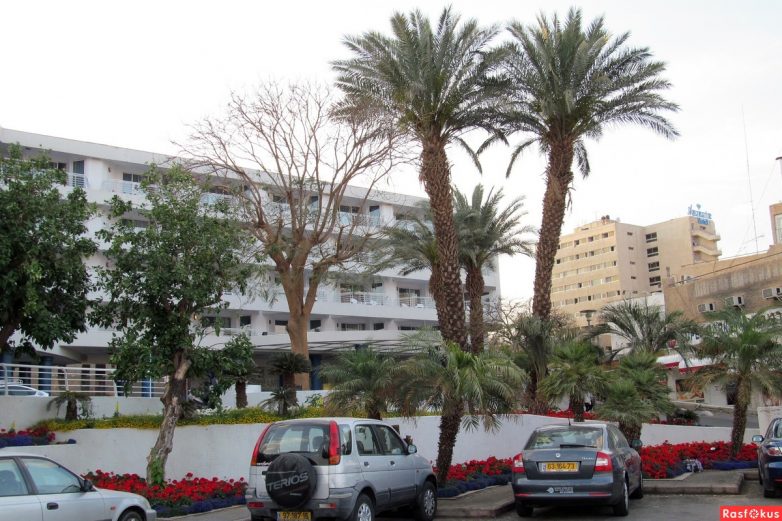 Израиль — страна-пустыня? Нет, страна-сад! Израиль — страна-пустыня? Нет, страна-сад!