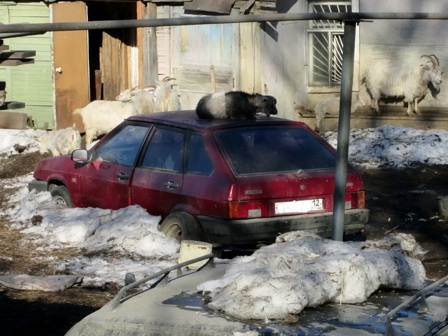 Автовсячина авто, прикол, своими руками, сделай сам