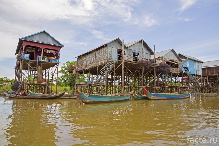 Жизнь в окружении воды Жизнь в окружении воды жизнь,интересное,общество