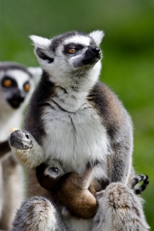 Фотография: От этих фото на душе становится теплей №14 - BigPicture.ru