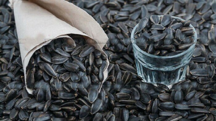 Карманные расходы советского школьника. На 50 копеек в день Карманные расходы советского школьника. На 50 копеек в день