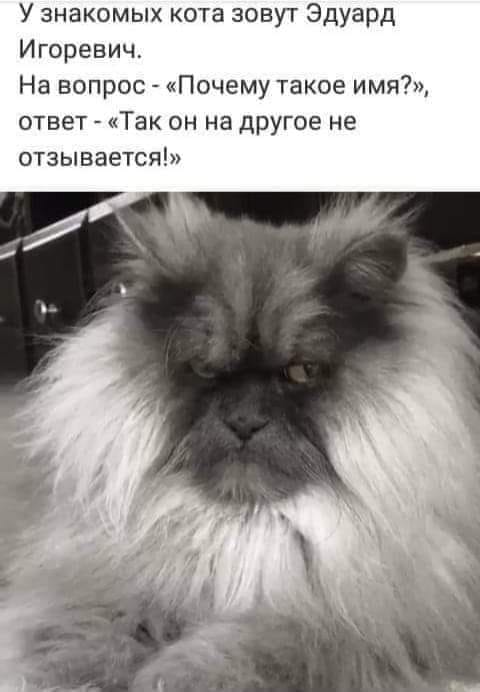 - Слышал, что на работу устроился?  - Ну да, охранником на складе... Весёлые,прикольные и забавные фотки и картинки,А так же анекдоты и приятное общение