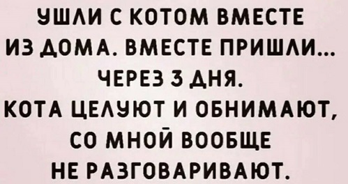 Если вы - сорванец, альпинизм не для Вас! Если вы - сорванец, альпинизм не для Вас!