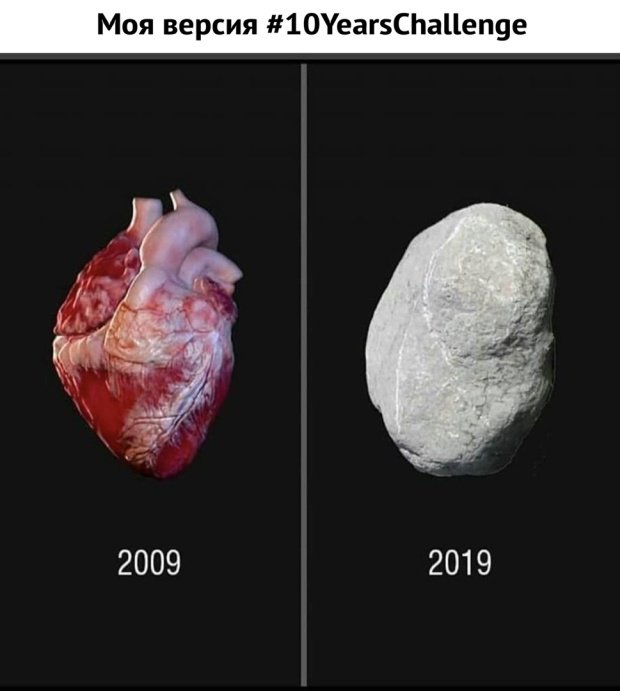 Фотоподборка среды 