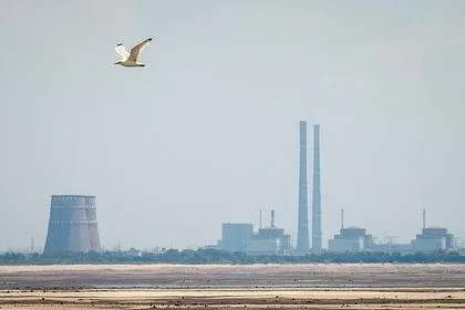 «Росатом» заявил о готовности вернуть американское топливо с Запорожской АЭС в США